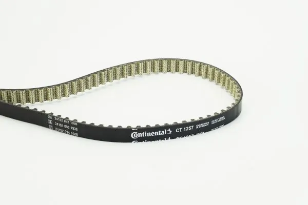 Timing Belt
